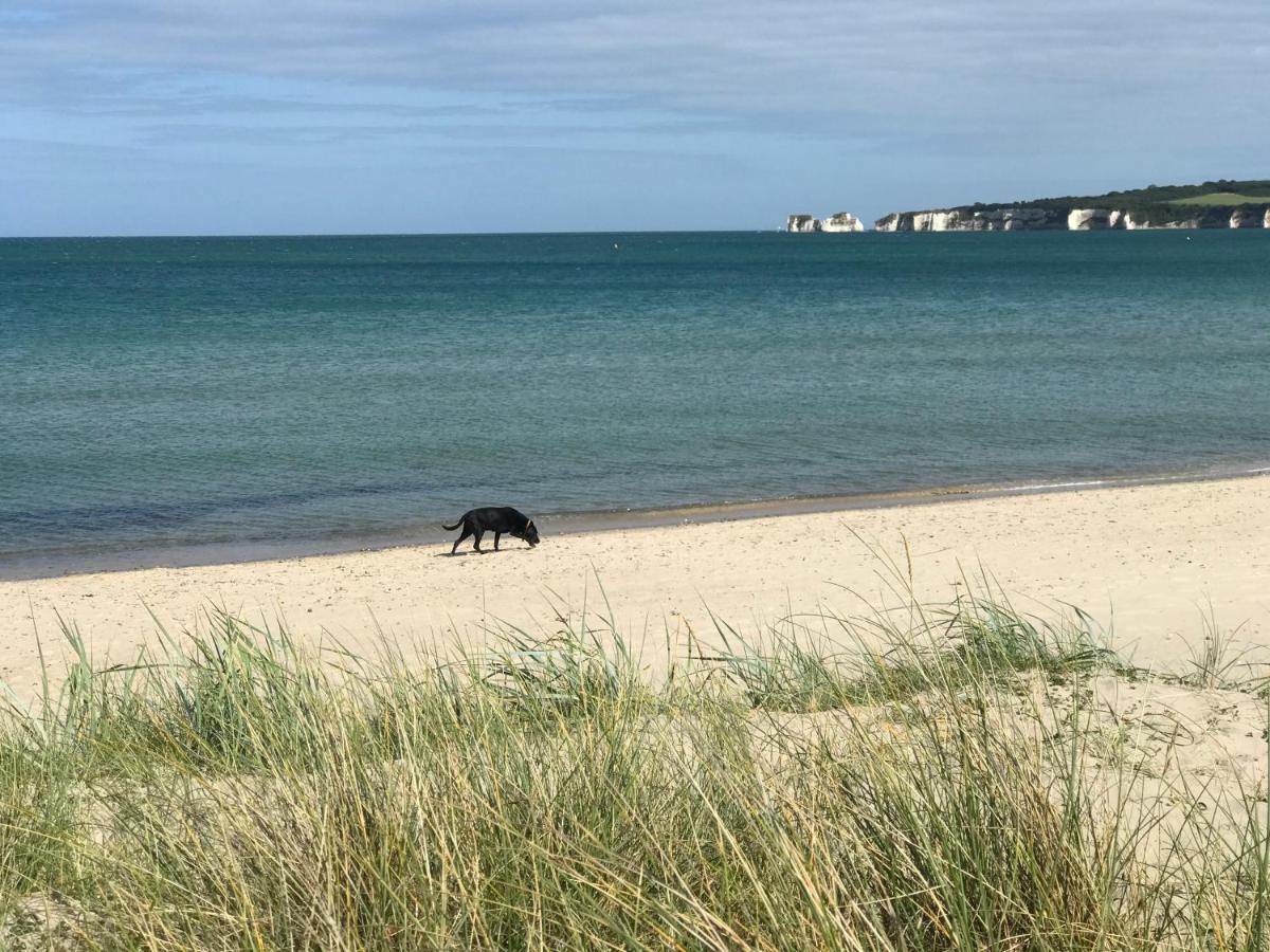 Arbour House B&B Swanage Luaran gambar