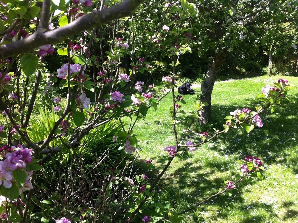 Arbour House B&B Swanage Luaran gambar